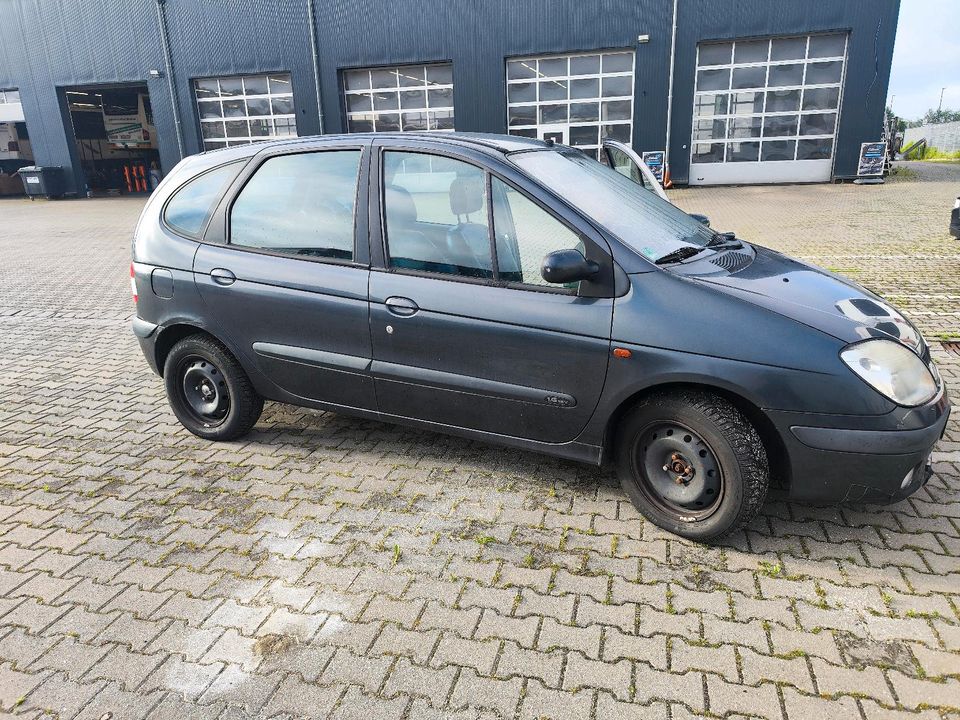 Renault Scenic 1.6 16V in Neuwied