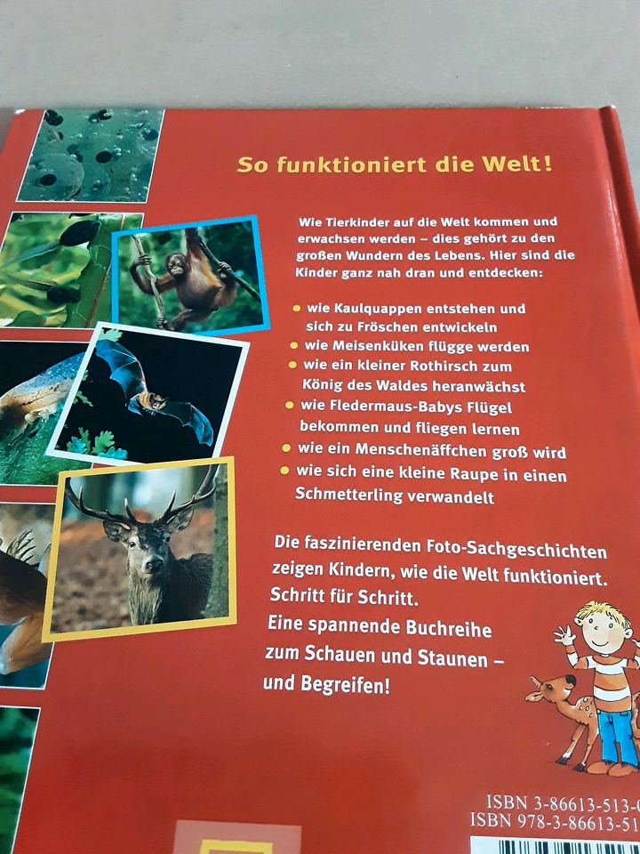 Buch Schauen und staunen Küken, Kitz und Äffchen Sachbuch ab 5 J. in Erftstadt