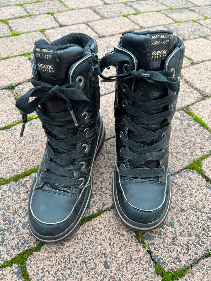 Geox Winterboots in Kreuzwertheim