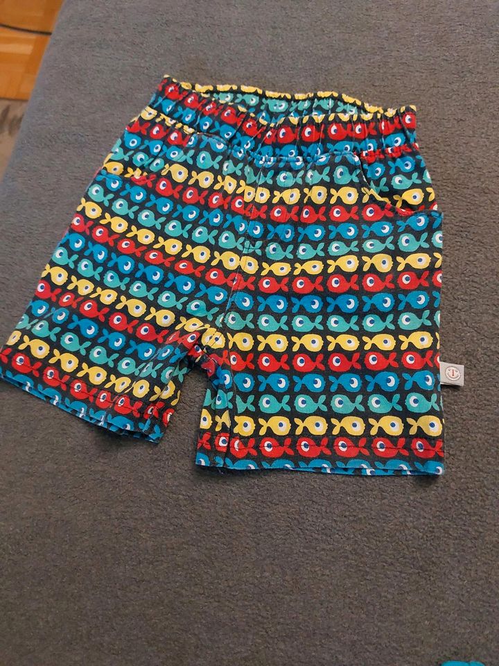 Baby 2-Teiler Shorts + coolem Shirt gr.74 in Nabburg