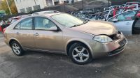 Nissan Primera P12 Fahrertür Beifahrertür Tür Kotflügel Nordrhein-Westfalen - Gevelsberg Vorschau