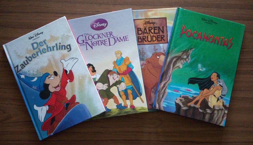 Disney Bücher je 3€ in Pfarrkirchen