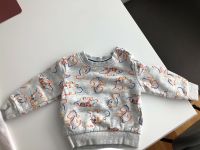 Liegelind Pullover Gr. 74 grau mit Dinos Nordrhein-Westfalen - Winterberg Vorschau