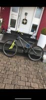 Fahrrad Dirtbike Rheinland-Pfalz - Pirmasens Vorschau