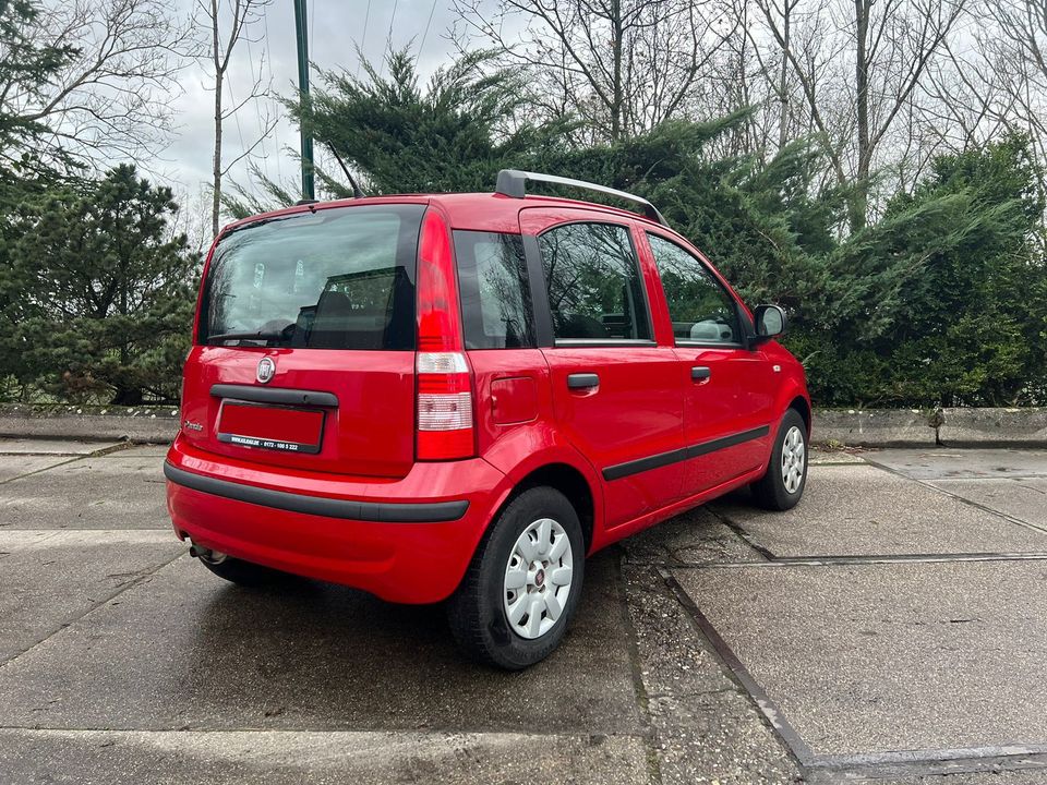 Fiat Panda 1.2 8V Dynamic Klima Euro 5 Zentral Servo in Mettmann