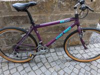 Mountainbike von Heavy Tools aus den 90ern, Alu Laser Baden-Württemberg - Weinheim Vorschau