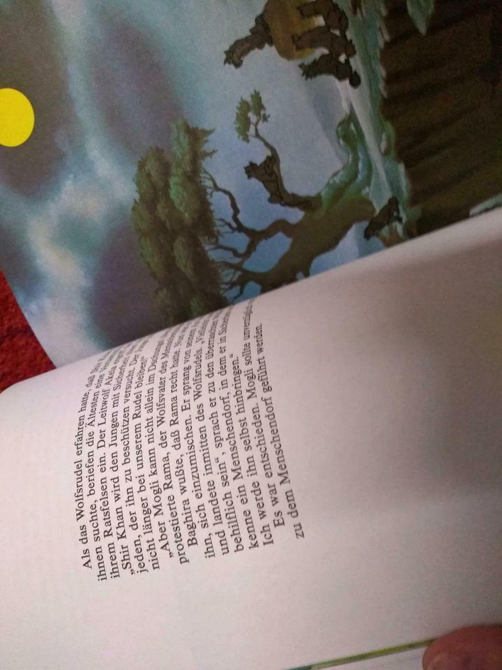 Disney der König der Löwen, Dschungelbuch, Schneider Sammelband in Weißenburg in Bayern