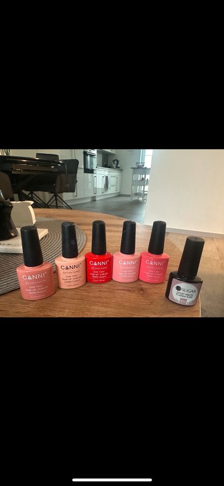 Jolifin Shellac Set mit Lampe in Oberhausen