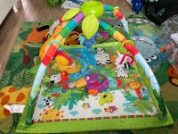 Fisher Price Rainforest Erlebnisdecke und Bauchlage Spielkissen Hessen - Rodgau Vorschau