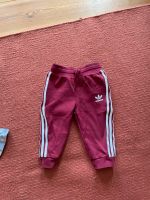 Jogginghose Adidas Gr.80 Berlin - Pankow Vorschau