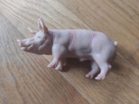 SCHLEICH Schwein - SEHR GUT ERHALTEN Berlin - Lichtenberg Vorschau