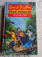 Fünf Freunde auf großer Fahrt ( Enid Blyton) Schleswig-Holstein - Winseldorf Vorschau