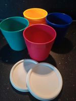 Tupperware Picknickbecher- Set, 4x je 250ml Bayern - Neu Ulm Vorschau