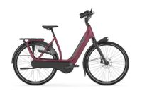 Gazelle E-Bike  Avignon C8 HMB Bosch 624Ah. Niedersachsen - Blomberg Vorschau