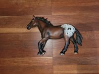 *Schleichpferd Appaloosa, Hengst* Saarbrücken-Mitte - Alt-Saarbrücken Vorschau