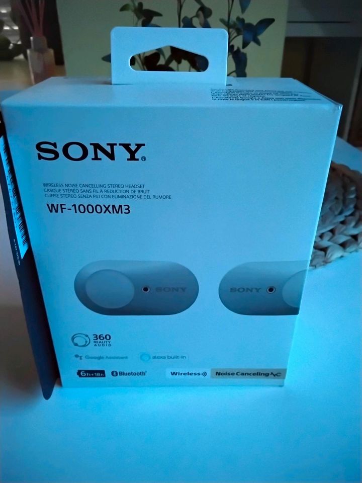 Sony WF-1000xm3 in Ear Kopfhörer mit Ladecase und Ladekabel in Friedrichshafen