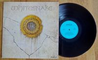 Whitesnake Hardrock-Album Amiga Schallplatte 856406 Dresden - Gorbitz-Süd Vorschau