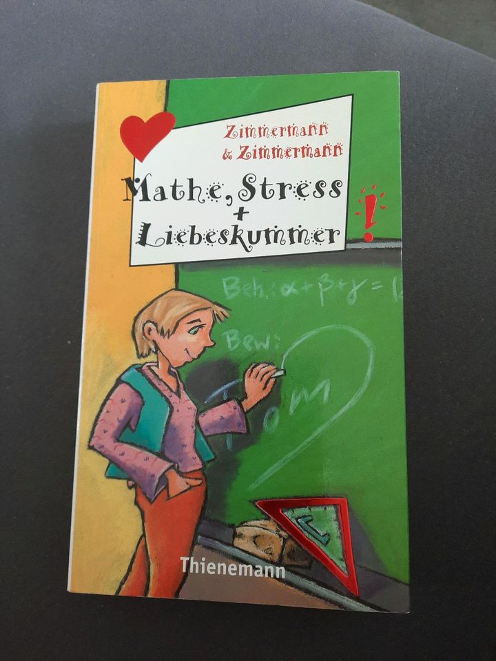 Jugendroman: Mathe, Stress + Liebeskummer, Thienemann in Schönau im Schwarzwald