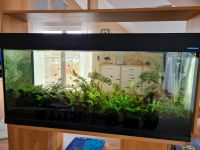 Aquarium komplett 300 l Hessen - Langgöns Vorschau