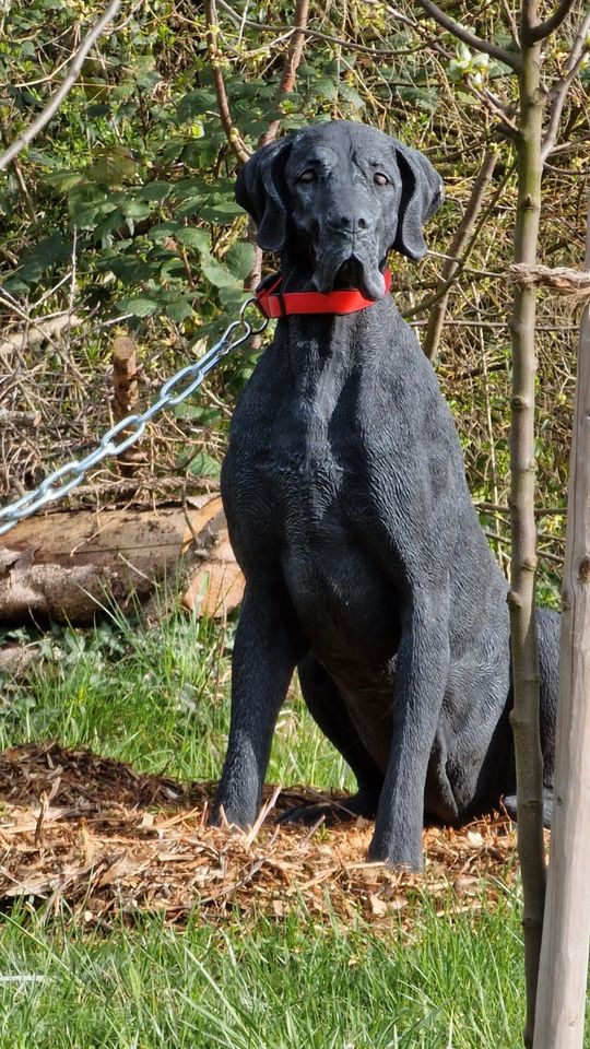 Dogge 106cm 200kg Steinguss deutsche Dogue dänische Dogo Hatzrüde in Hamburg