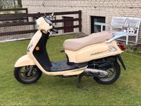 Motorroller SYM Fiddle 2 (50ccm) Mecklenburg-Vorpommern - Züsow Vorschau