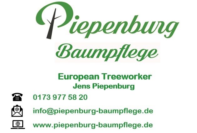 Baumpflege - Baumfällung - Baufeld Beräumung - Stubben fräsen in Rostock