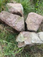 4 große Steine verschenken Brandenburg - Halbe Vorschau