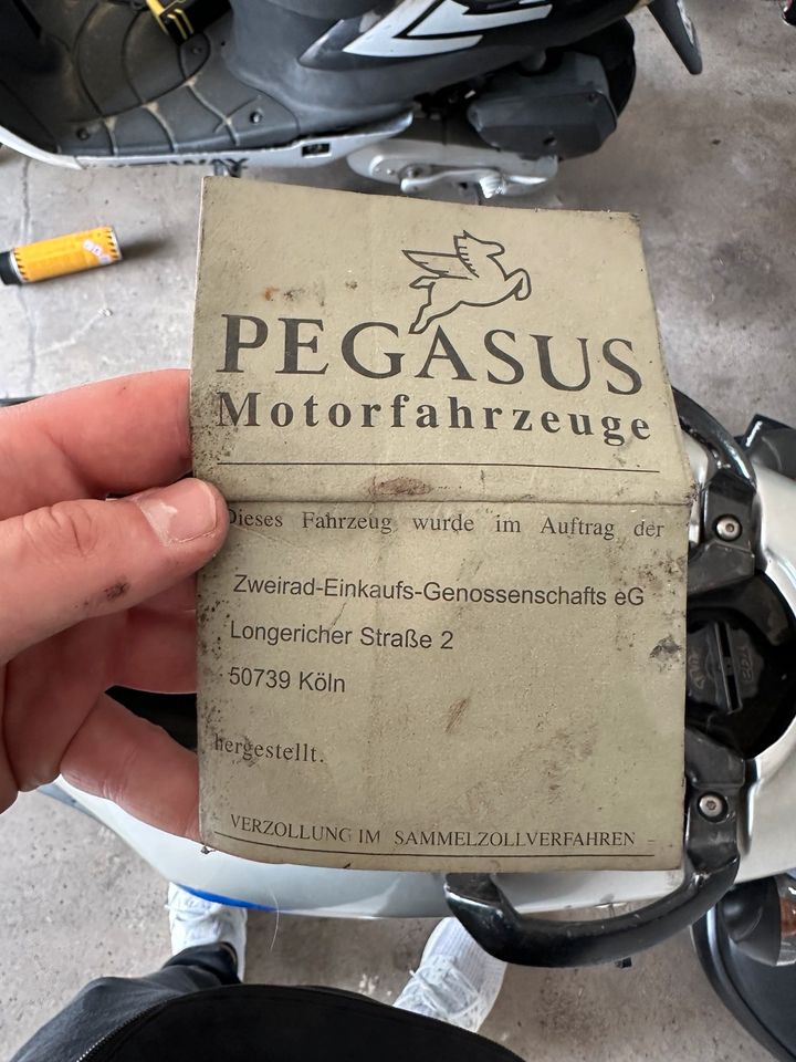 Pegasus Roller 50ccm in Ronnenberg