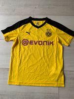 BVB Fan-Trikot / T-Shirt Borussia Dortmund Nordrhein-Westfalen - Castrop-Rauxel Vorschau