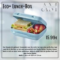 Tupperware essential Eco+ Lunchbox NEU Baden-Württemberg - Albstadt Vorschau