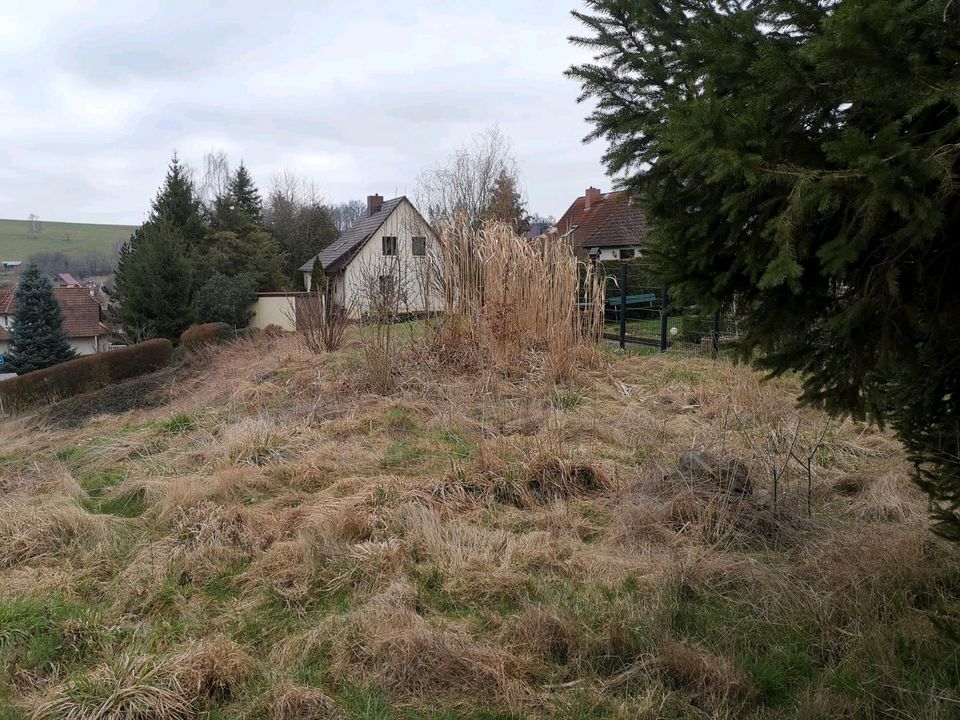 Baugrundstück in Freital