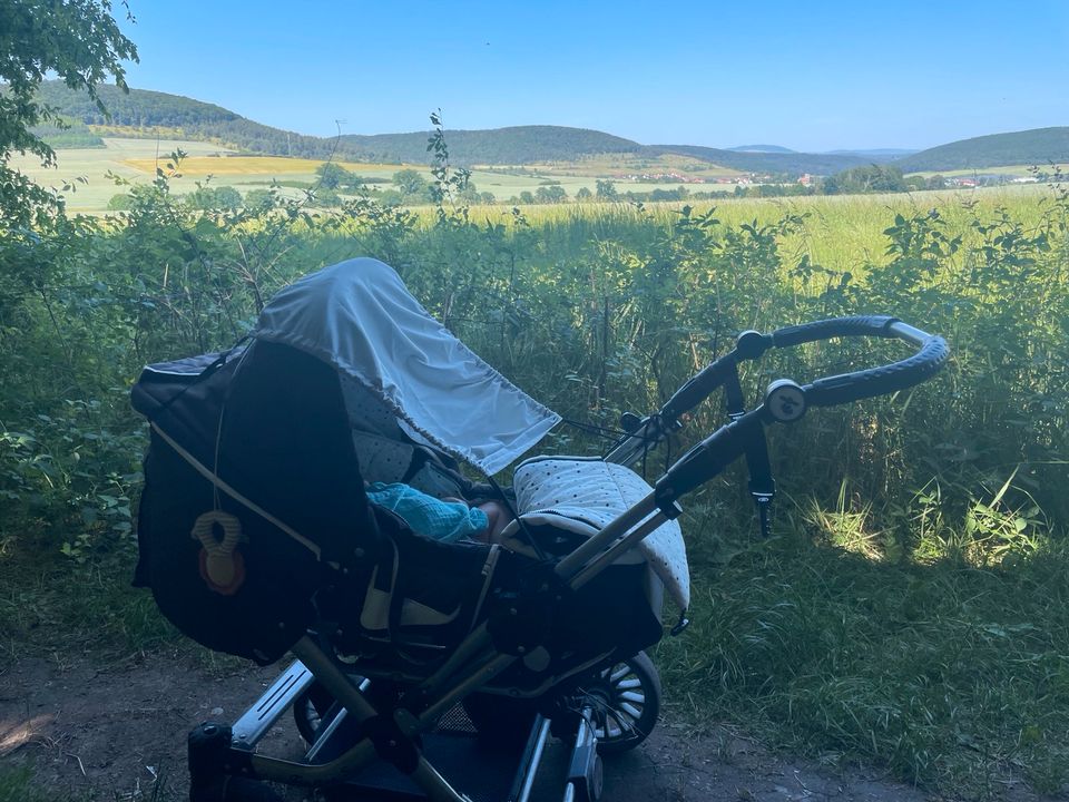 Kinderwagen und Buggy in Potsdam