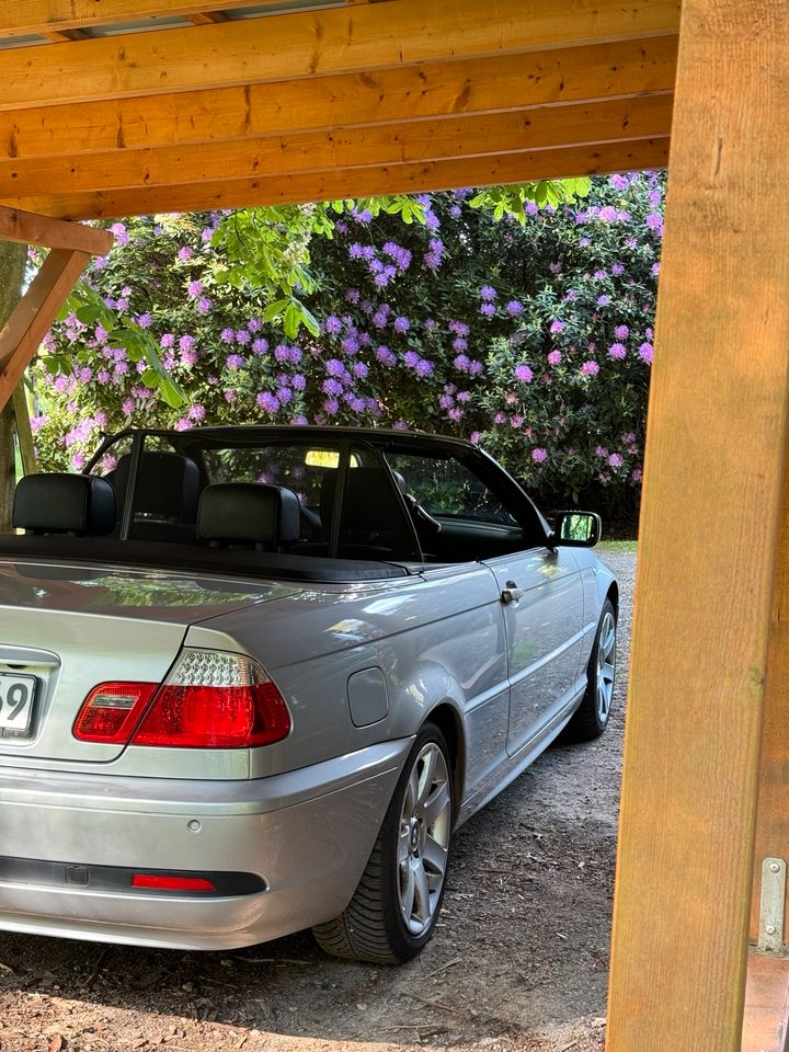 BMW e46 318i Cabriolet in Hambergen