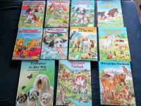 Große Tiergeschichten Bücher für Kinder je Bayern - Wittibreut Vorschau