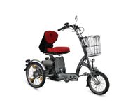 Van Raam Easy Go Elektromobil Scooter Dreirad lieferbar HX Nordrhein-Westfalen - Havixbeck Vorschau