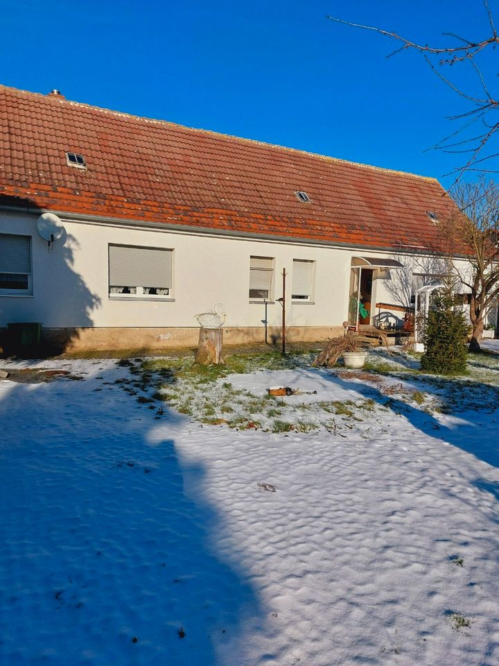 Einfamilienhaus mit Grundstück in Tarthun