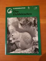 Unterrichtsmaterial - Das Eichhörnchen Dithmarschen - Wesselburen Vorschau