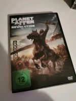 Film DVD PLANET DER AFFEN REVOLUTION München - Moosach Vorschau