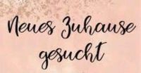 Suchen dringend eine neue Wohnung Bayern - Abensberg Vorschau