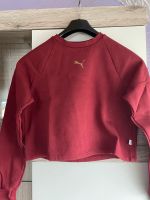 Puma Pulli Bayern - Pressath Vorschau