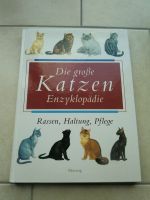 Die große Katzen-Enzyklopädie Buch zu verkaufen Niedersachsen - Walsrode Vorschau