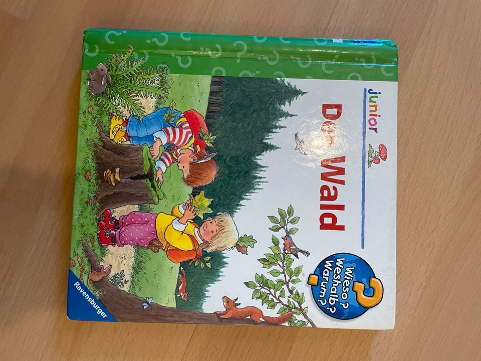Kinder Bücher TipToi Conny Laura Peppa Wutz Lillifee in Siegburg
