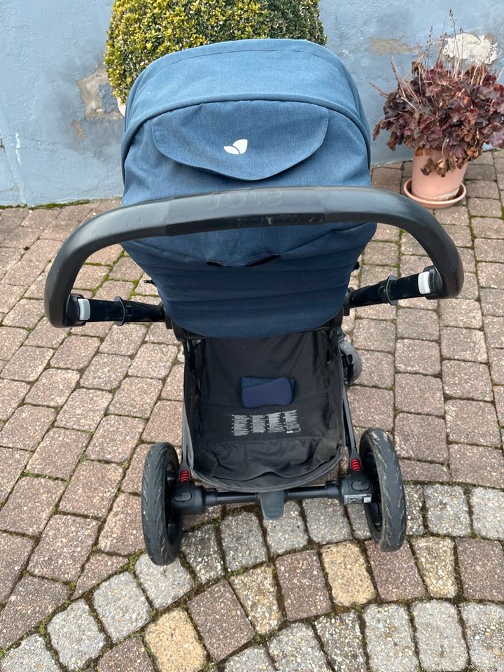 Buggy Joie in Wolfsheim