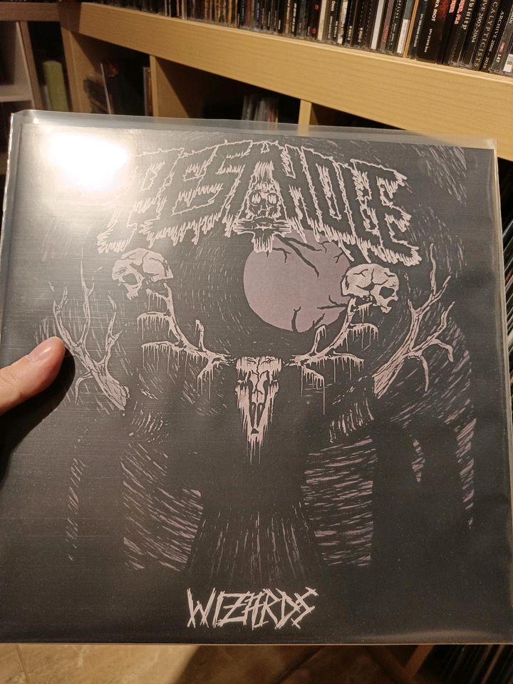 Metal Vinyl Sammlung (Black/Death/HeavyDoom) in Lübben