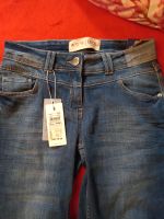 Cecil Jeans 28 neu⭐❣⭐ Nordrhein-Westfalen - Gelsenkirchen Vorschau