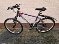 Haibike Damenrad Mountainbike Fahrrad Rosa/Weiß Hessen - Münster Vorschau