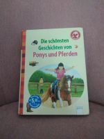 Buch Pferdegeschichten Schleswig-Holstein - Beringstedt Vorschau