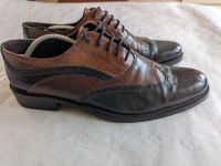 Italienische Herrenschuhe, elegant, Gr. 45, 2-farbig Schleswig-Holstein - Nordstrand Vorschau