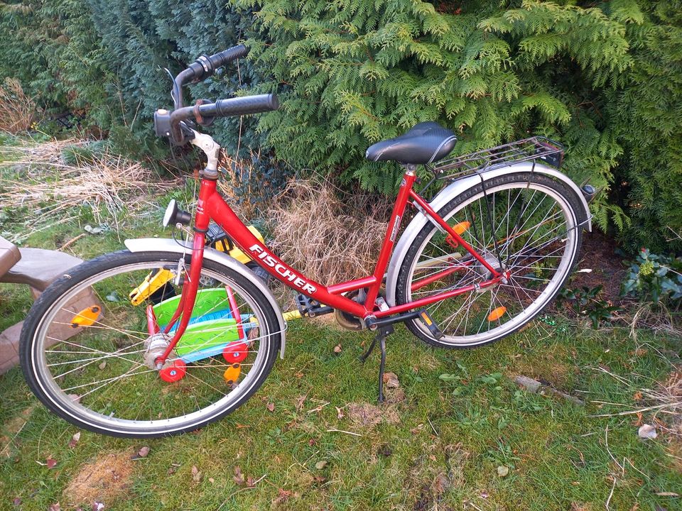 Fischer Fahrrad 28" Damen in Celle