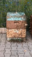 Bienenvolk, Schwarm , Bienenschwarm Hessen - Erzhausen Vorschau